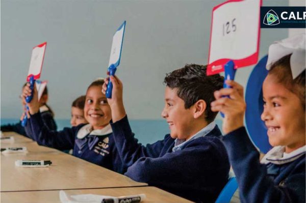 ELEMENTARY-CARRU2-opt